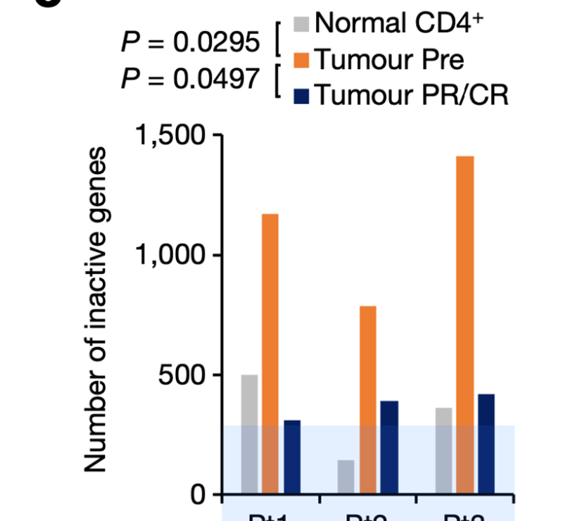 Mechanisms of action and resistance to epigenetic cancer therapy valemetostat, revealed with single cell ATAC-seq