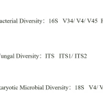 Tìm hiểu 16S/18S/ITS Amplicon Metagenomic Sequencing