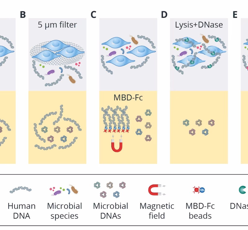 Metagenomics: Host DNA Removal or Not?